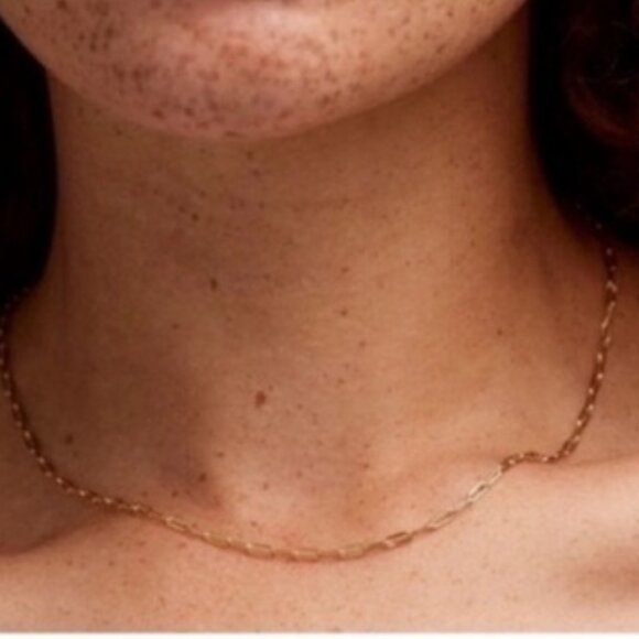 New! Madewell Demi 14K Gold Plated Petite Paperclip Chain Necklace NWOT - Picture 2 of 2